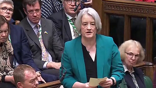 Claire Young in Parliament