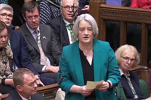 Claire Young in Parliament