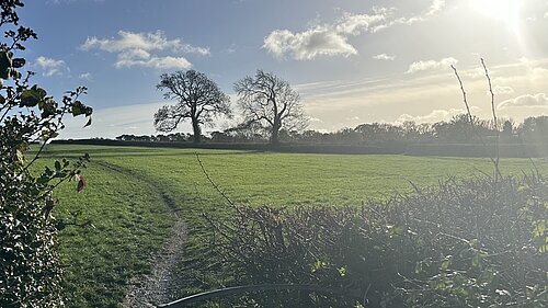 Land East of Roundways